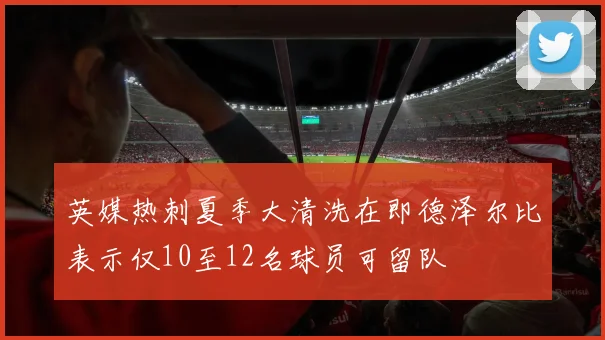 英媒热刺夏季大清洗在即德泽尔比表示仅10至12名球员可留队