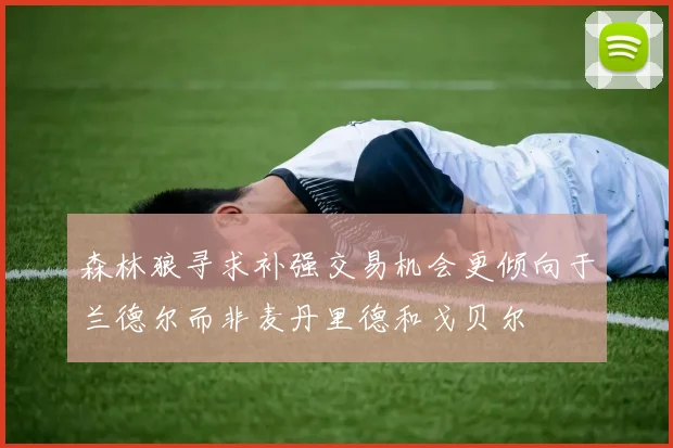 森林狼寻求补强交易机会更倾向于兰德尔而非麦丹里德和戈贝尔