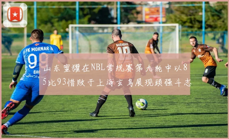 山东蜜獾在NBL常规赛第九轮中以85比93惜败于上海玄鸟展现顽强斗志