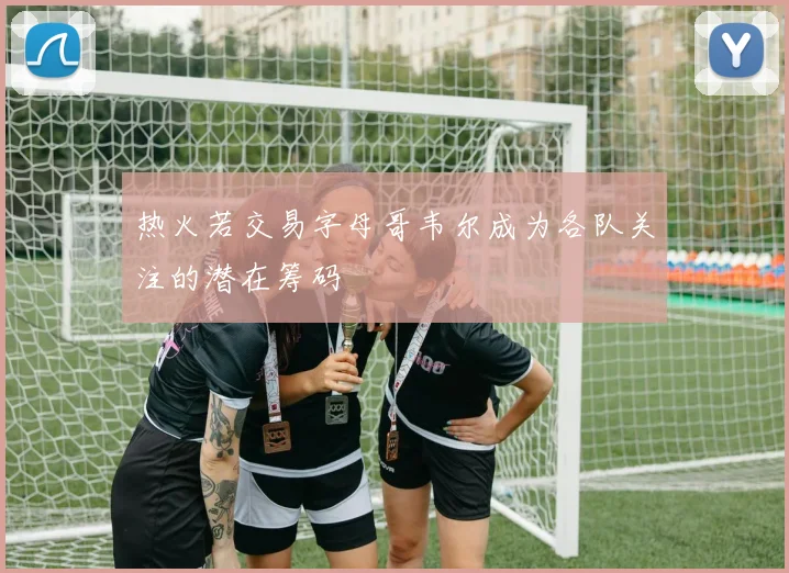 热火若交易字母哥韦尔成为各队关注的潜在筹码